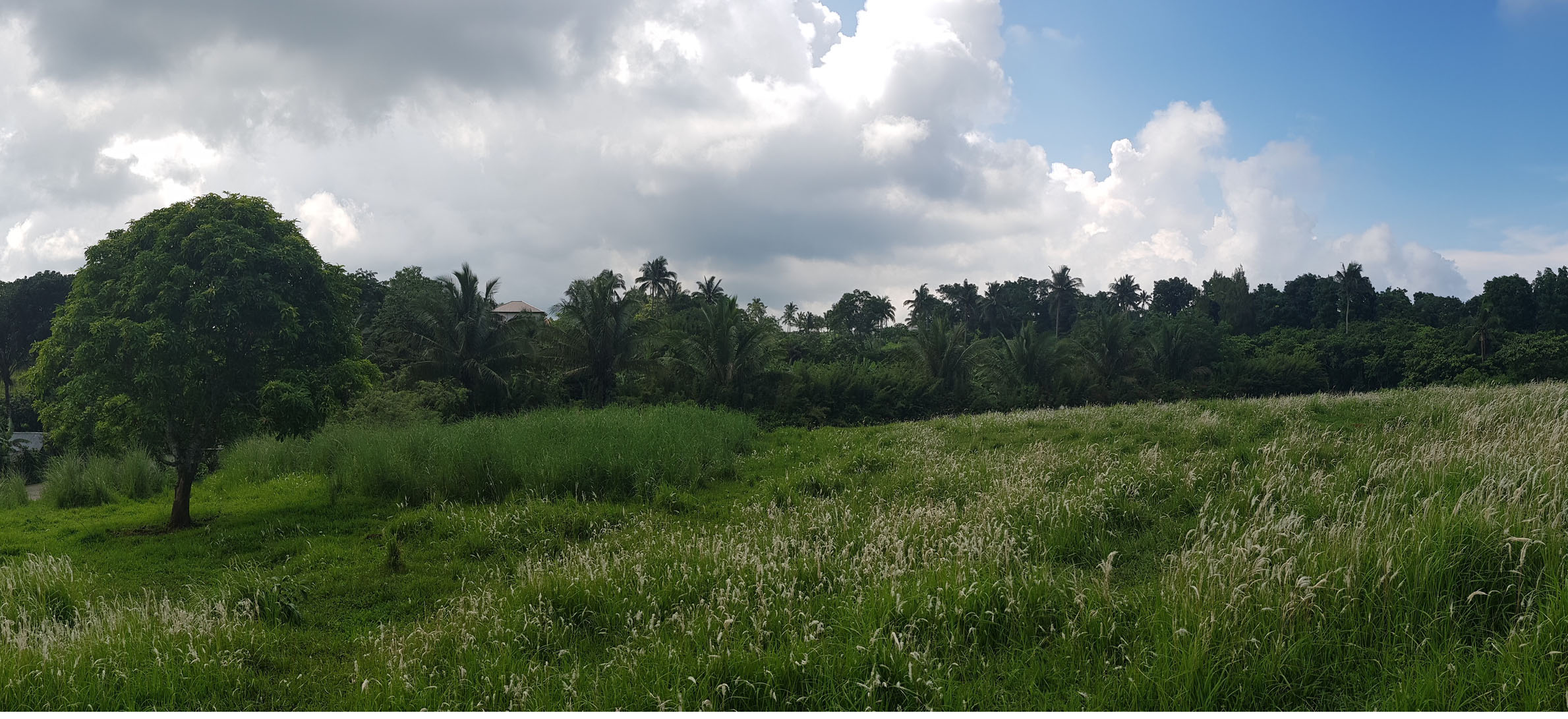 Tagaytay West (Tolentino) Lot For Sale