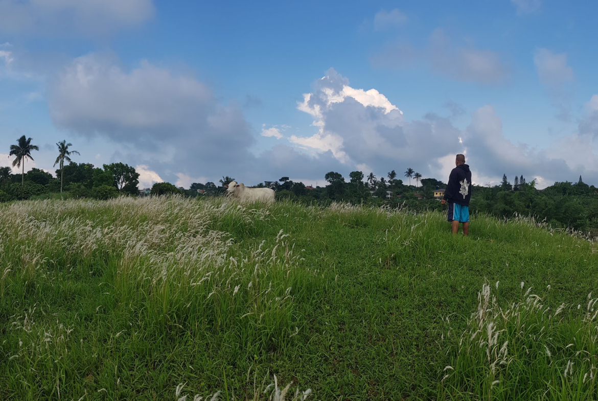 Tagaytay West (Tolentino)